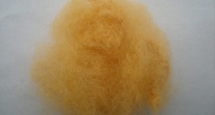 到底什么是纖維？用途又是什么呢？