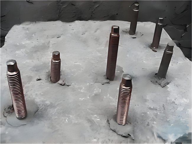 1723702228442693.jpg 5c425e77-53a8-45dd-8c7c-2470a8eb0bc2.jpg