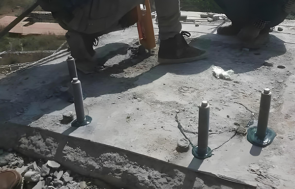 1730197661961223.jpg d4382841-6307-469f-8d0c-68c4b10472df.jpg